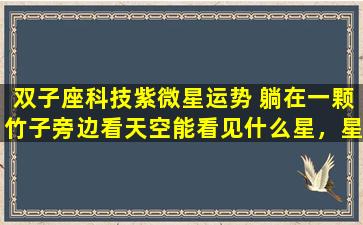 双子座科技紫微星运势 躺在一颗竹子旁边看天空能看见什么星，星座